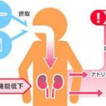 腎臓機能低下による血圧上昇の模式図