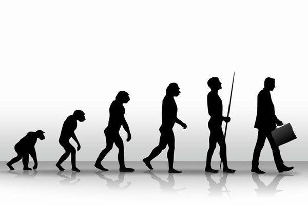 人間の進化を説明するイラスト