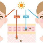 紫外線が顔の肌に当たる影響
